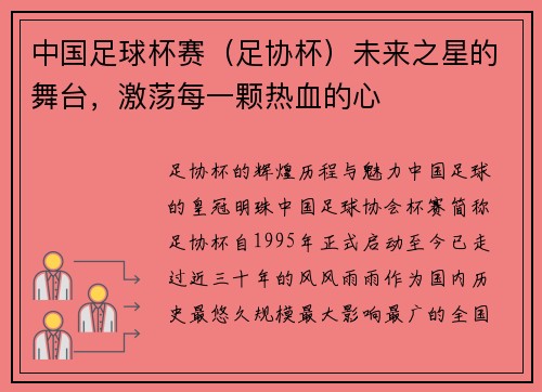 中国足球杯赛（足协杯）未来之星的舞台，激荡每一颗热血的心